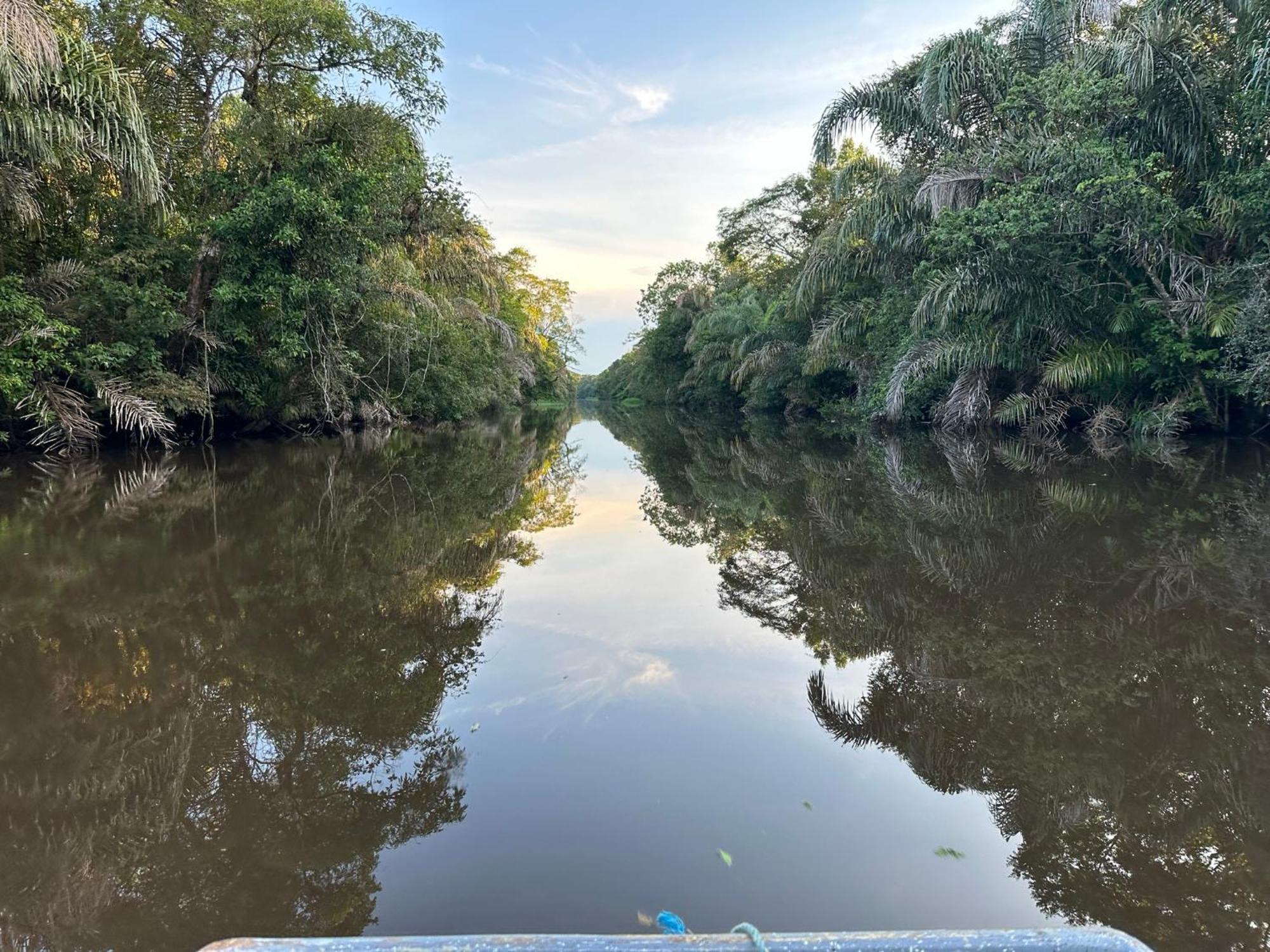 El Deseo Serendipity Tortuguero Luaran gambar