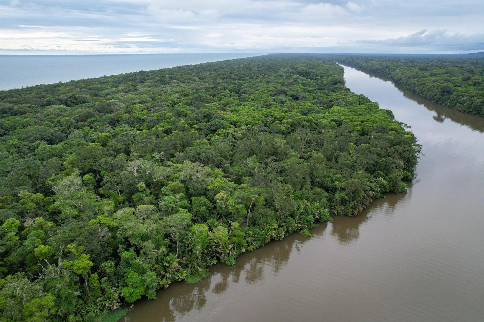 El Deseo Serendipity Tortuguero Luaran gambar