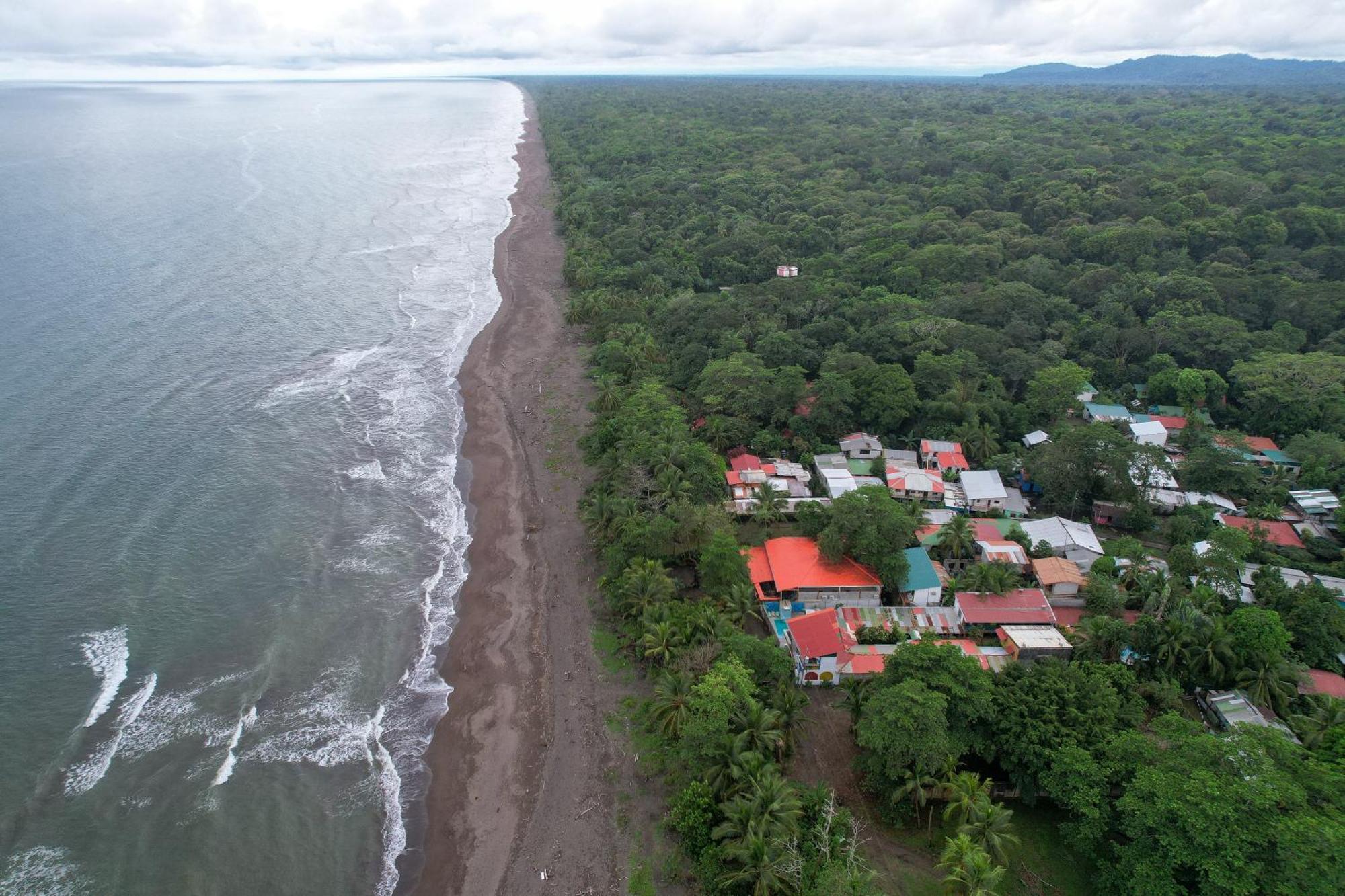 El Deseo Serendipity Tortuguero Luaran gambar