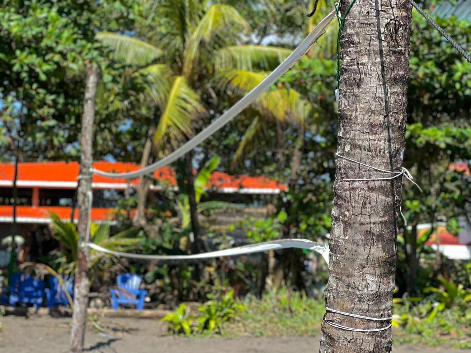 El Deseo Serendipity Tortuguero Luaran gambar