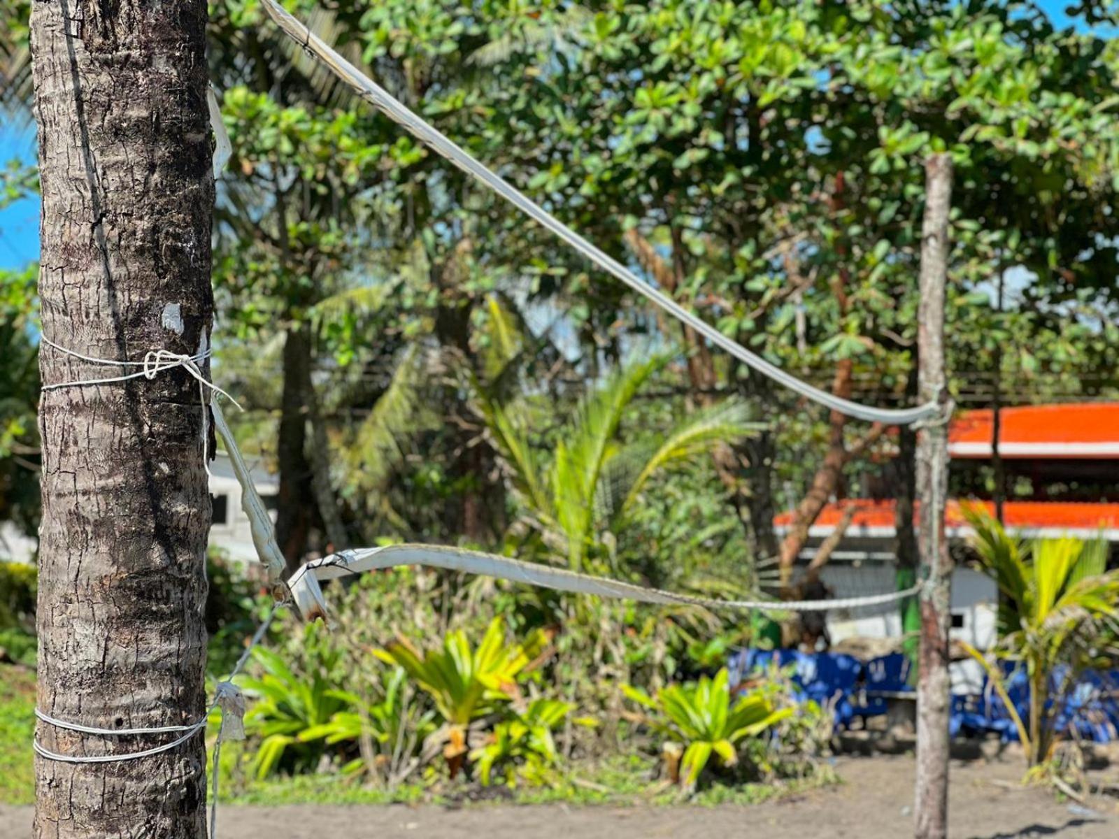 El Deseo Serendipity Tortuguero Luaran gambar
