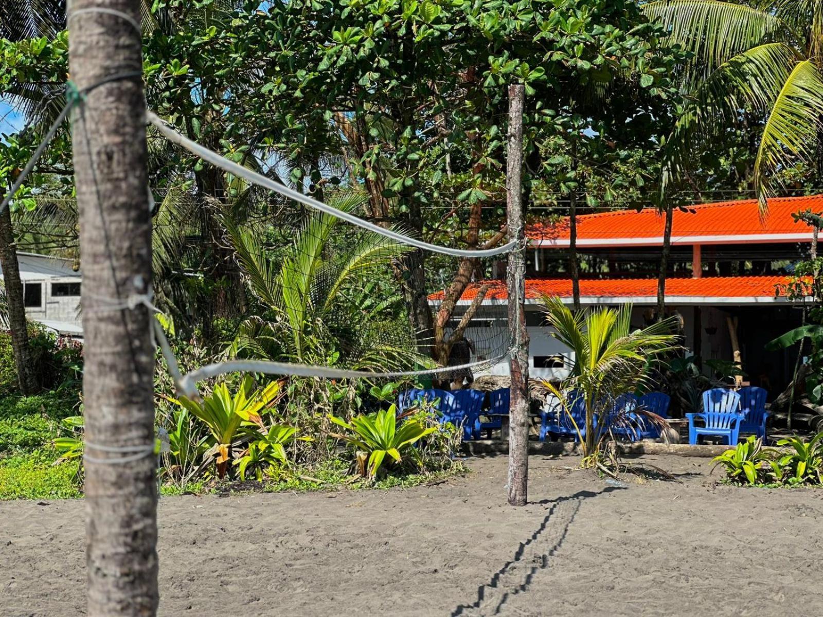 El Deseo Serendipity Tortuguero Luaran gambar